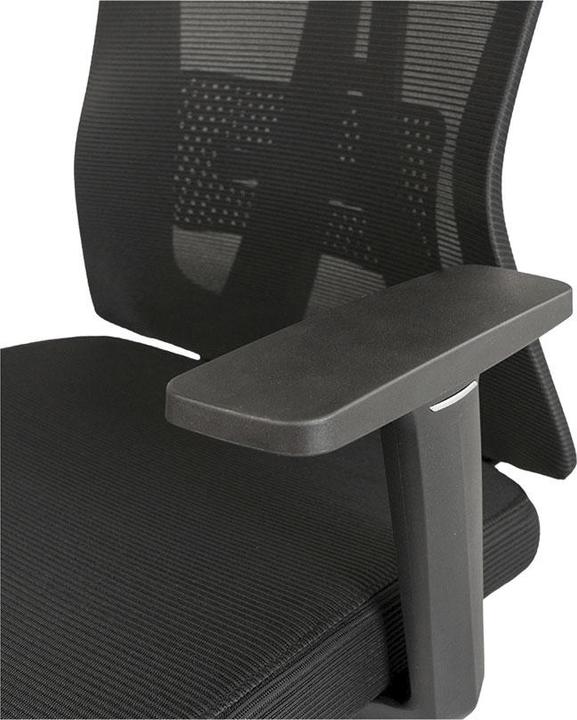 Produktbild Contini Ergonomic (47 - 53 cm)