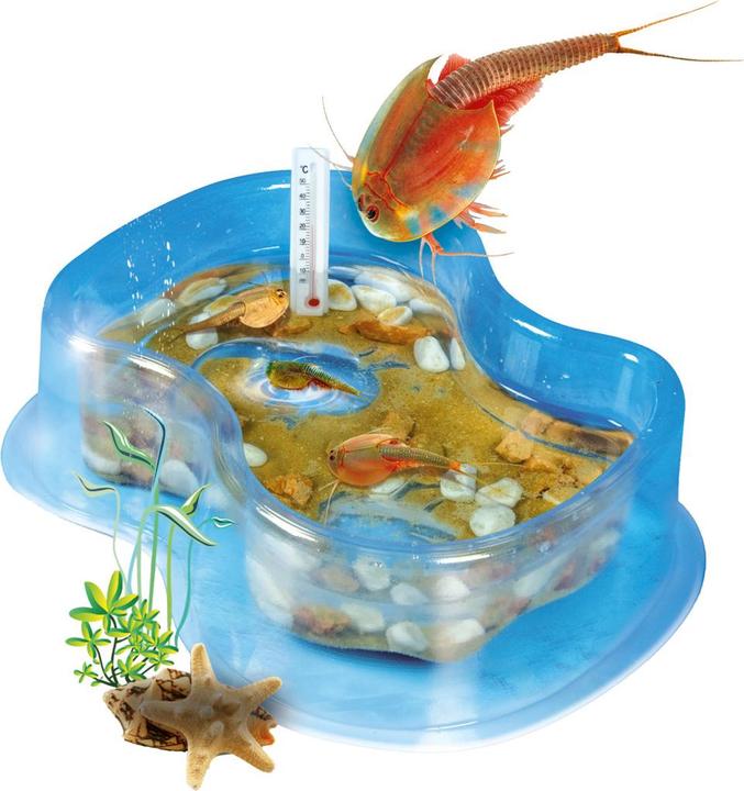 Image du produit Galileo Set de démarrage original Triops