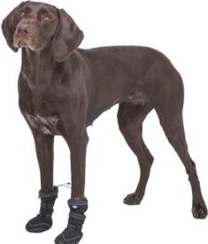 Productafbeelding Trixie Walker Active Lange beschermlaarzen, M, 2 st, zwart (M, Hondenschoenen)