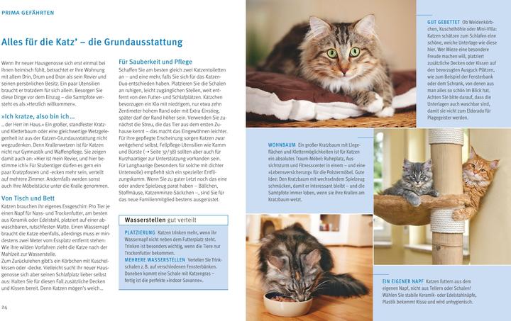 Actual product image Katzen (German, Brigitte Eilert-Overbeck, 2016)