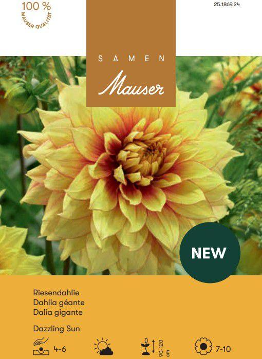 Produktbild Samen Mauser Riesenblüten-Dahlie Dazzling Sun