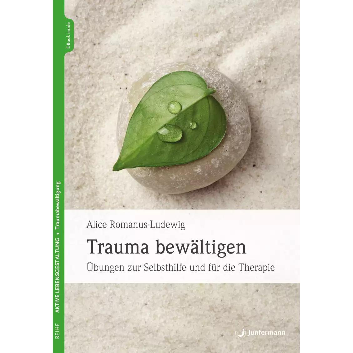 Trauma bewältigen, Ratgeber von Alice Romanus-Ludewig