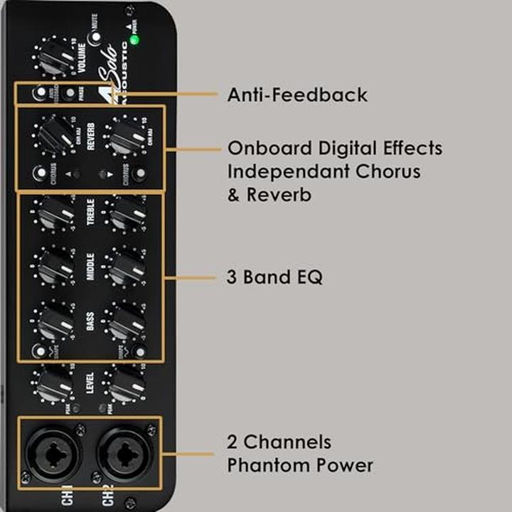 Actual product image Laney Acoustic Instrument Combo Amp with Dual Channels, Digital Effects, Anti-Feedback Control (Guitar, 60 W)