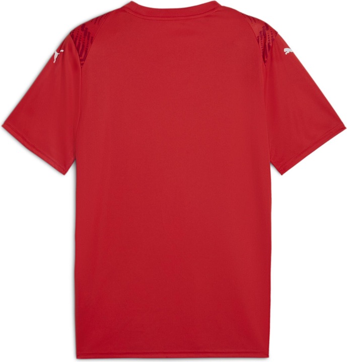 Image du produit Puma teamULTIMATE Jersey (XL)