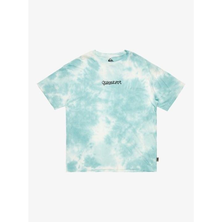 Image du produit Quiksilver TD Frog Ritual S/S Tee (M)