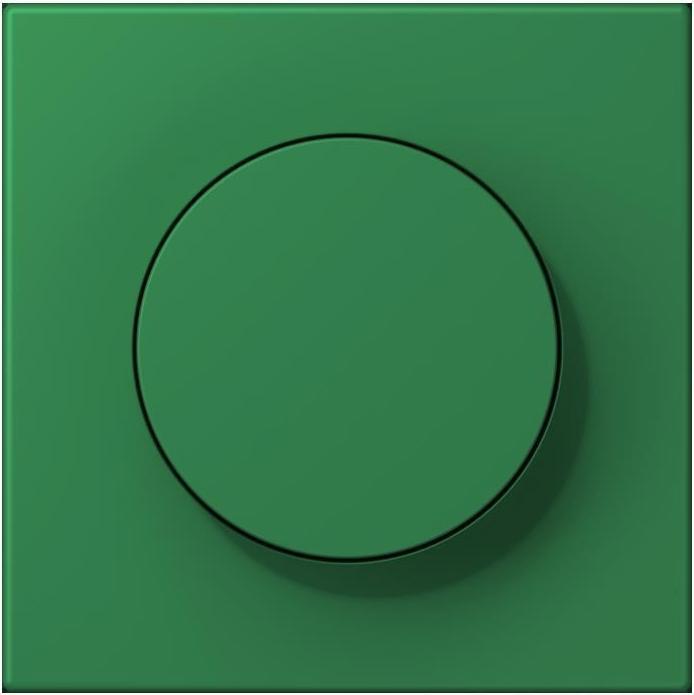 Actual product image JUNG Cover