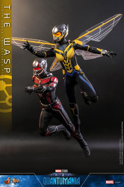 Actual product image Hot Toys Ant-Man & The Wasp: Quantumania figurine Movie Masterpiece 1/6 The Wasp 29 cm