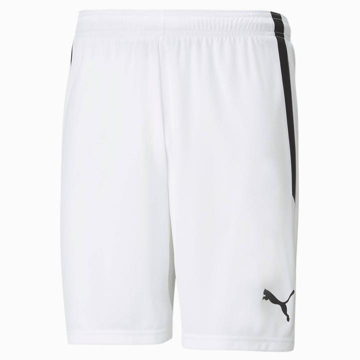 Actual product image Puma teamLIGA Shorts-704924 (M)