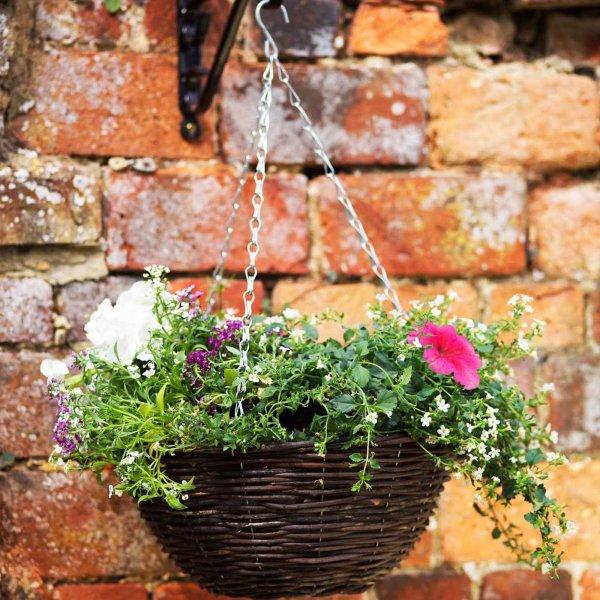 Produktbild Smart Garden Blumenampel