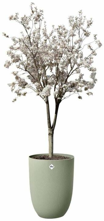 Produktbild Elho Pflanzentopf Sereh Hoch 40 cm Grün (39 x 53 cm)