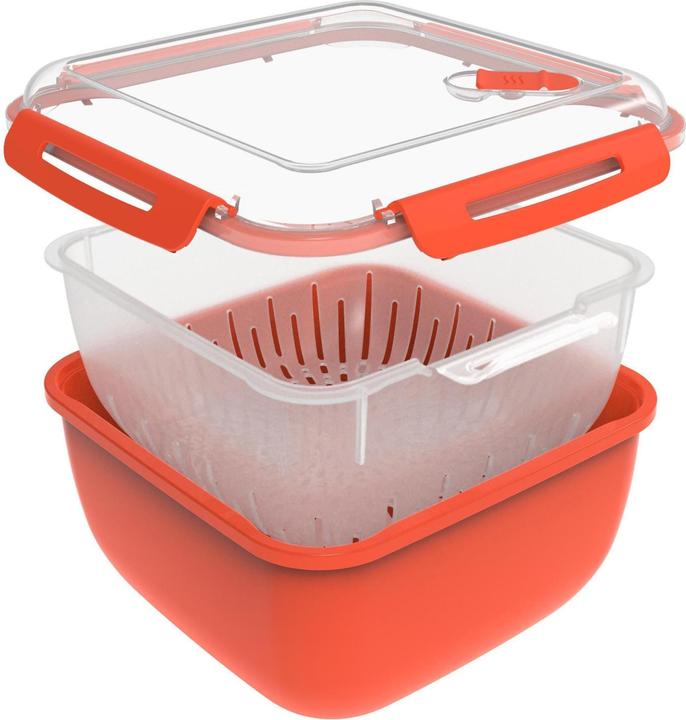 Actual product image Rotho memory microwave (2.50 l)