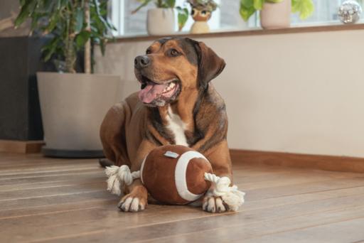 Actual product image Beeztees Hundespielzeug Pary tier (Ball toy dog, Plush toy dog)