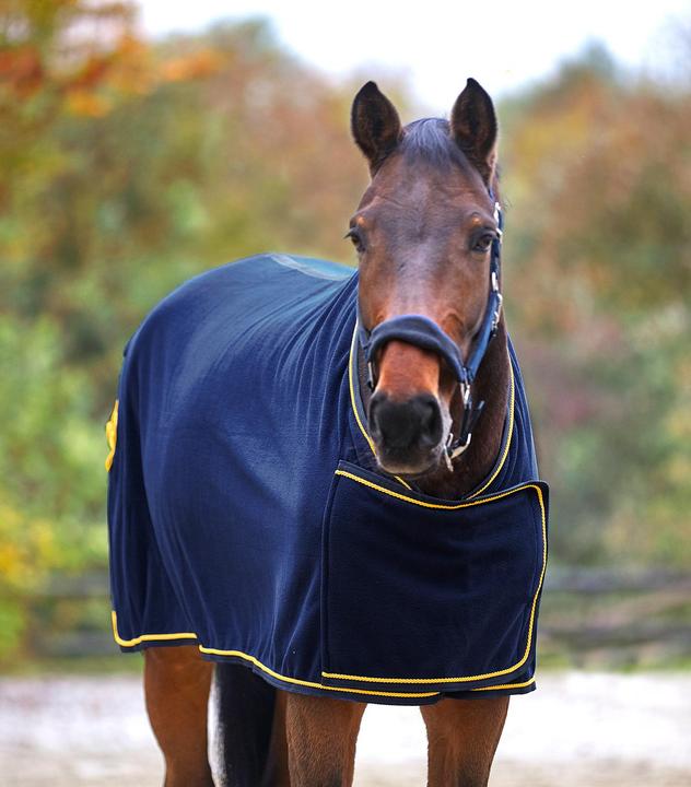 Immagine prodotto Waldhausen Sponsor (145 cm)