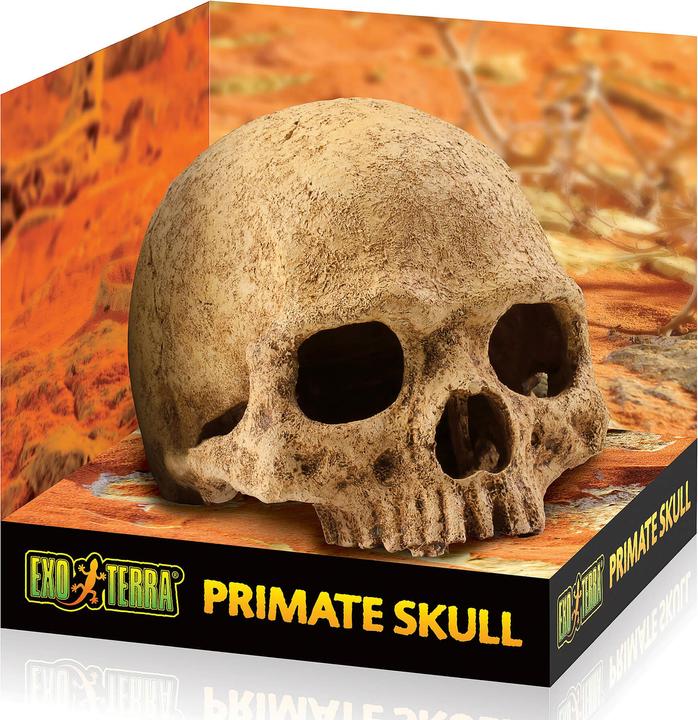 Exo Terra Primate Skull 17x13.5x11.5cm