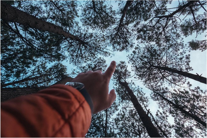 Image du produit Samyang AF 12mm f/2.0 Sony E-Mount (Sony E, APS-C / DX)