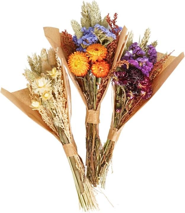 Fresca-Plant Mini Mix (Trockenblumen)