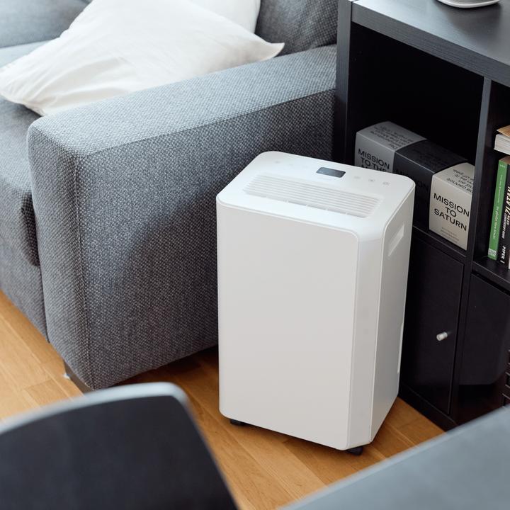 Produktbild ecofort ecoQ 20L Essential (50 m², 20 l/24h)