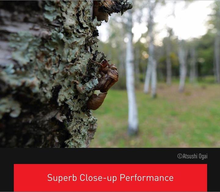 Immagine prodotto Panasonic Leica DG 12-35mm F2.8 OIS (Micro Four Thirds, Micro Four Thirds)