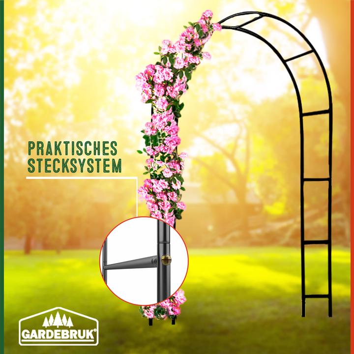 Immagine prodotto Deuba Arco per rose (240 cm, 140 cm)