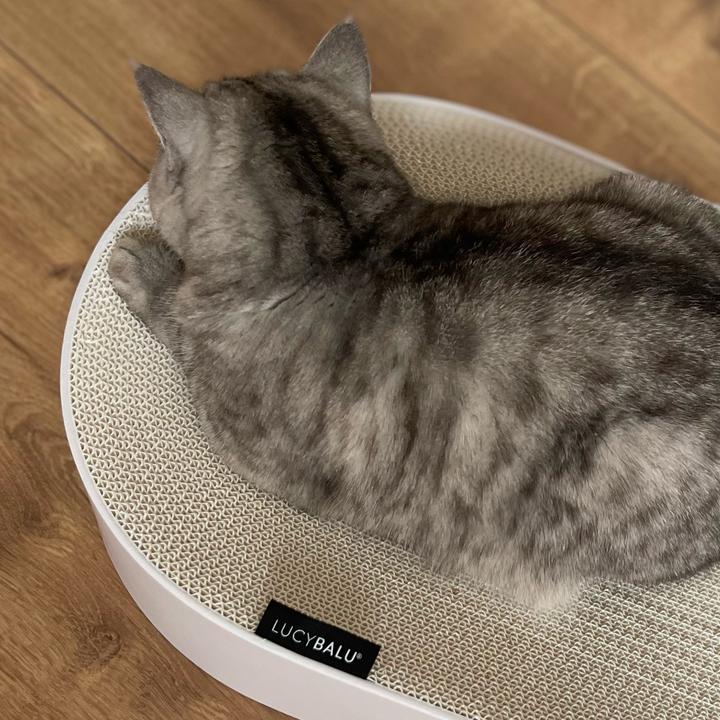 Produktbild LucyBalu SCRATCHBED Kartonbett (Katze)