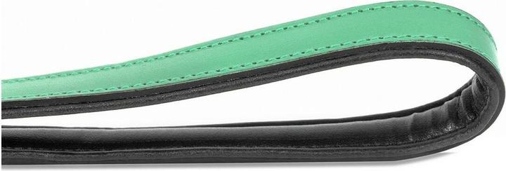 Produktbild Gloria Hundeleine 1.8 x 100 cm grün (Hund)