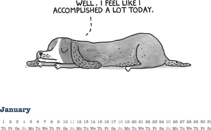 Immagine prodotto Alpha Edition A Cat's Life & A Dogs Life 2026 - Wende-Kalender - Wand-Kalender - Broschüren-Kalender - 30x30 - (30 x 30 cm)