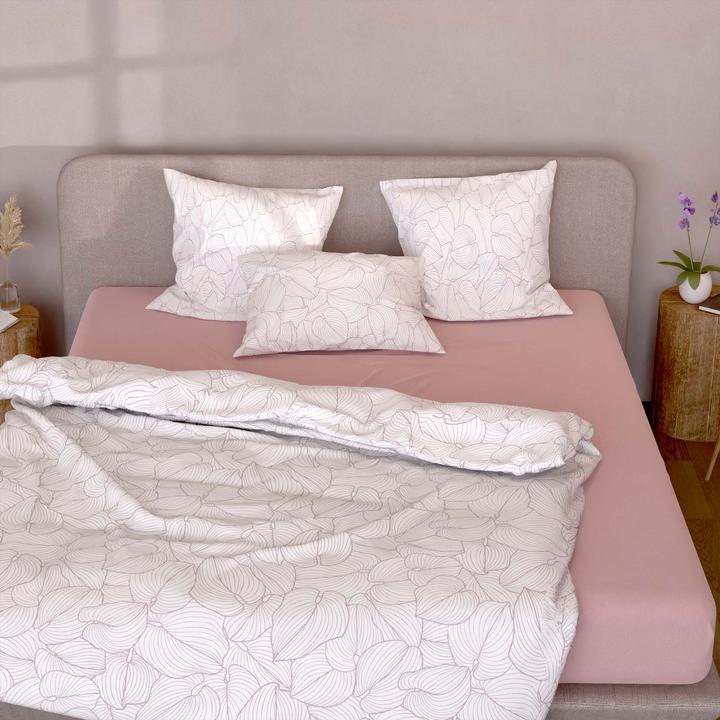 Produktbild Lotus Bettwaren Bettwäsche Renforcé Funkia (Duvetbezug, 240 x 240 cm)
