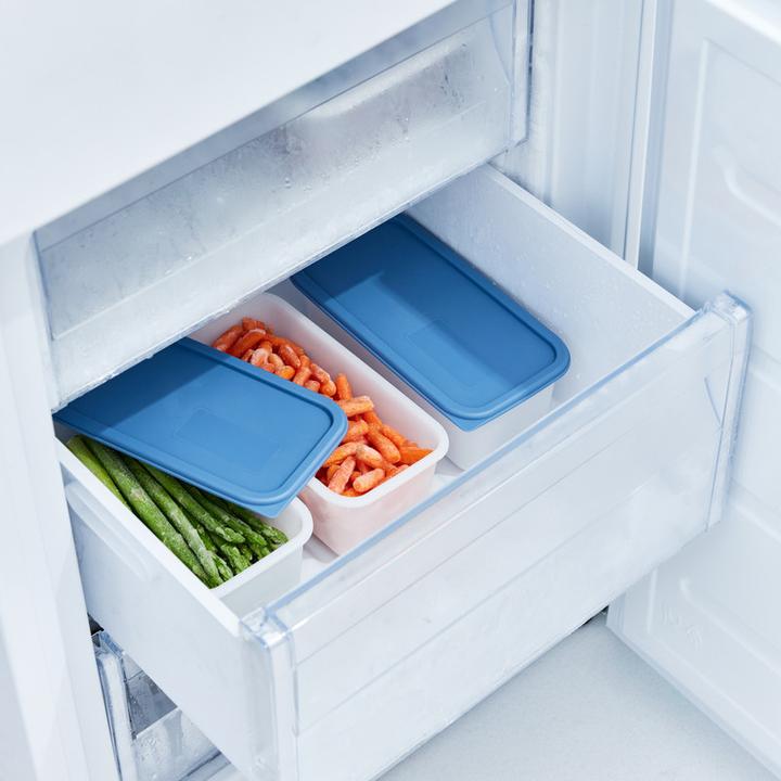 Image du produit Rotho Domino (1.20 l)