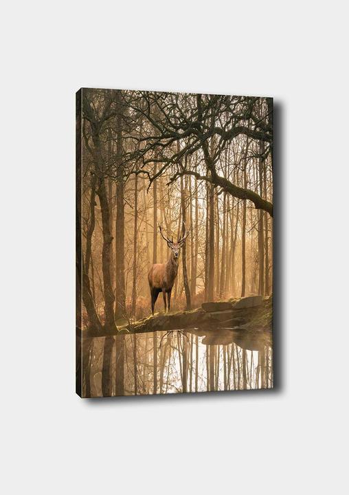 Produktbild Wallxpert Jade (50 x 70 cm)