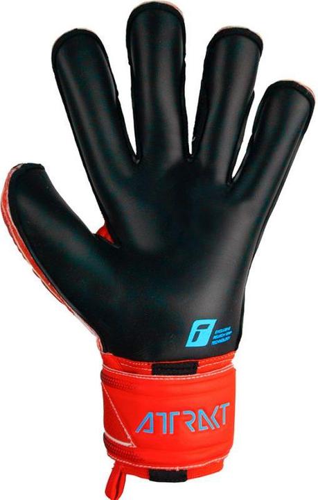 Produktbild Reusch Attrakt Gold X Evolution Cut Finger Support Torwarthandschuh (8.5)