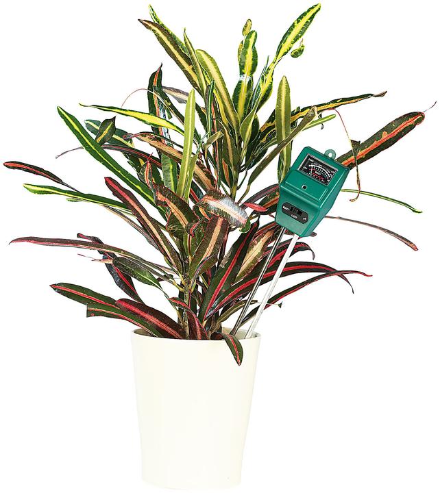 Actual product image Royal Gardineer Set of 2 3in1 Combination Soil Meter for Plants