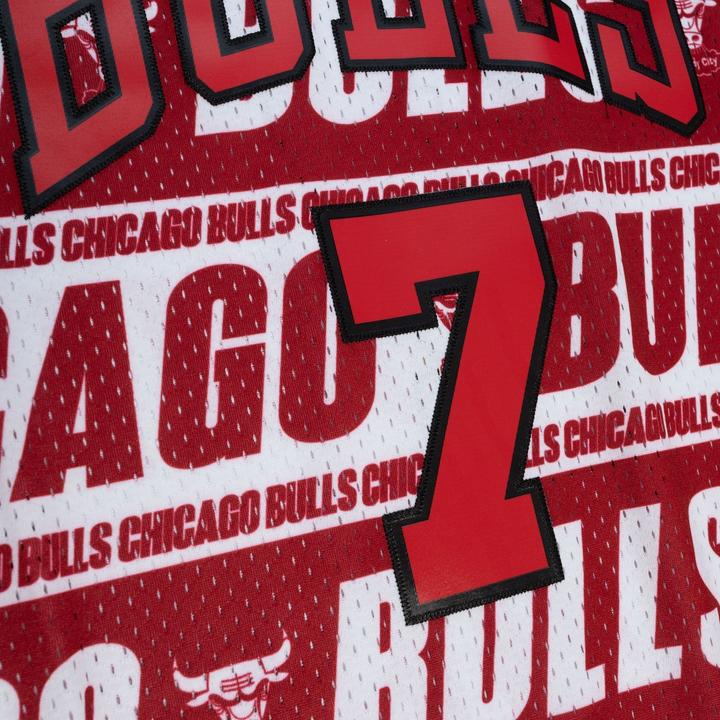 Actual product image Mitchell & Ness Swingman Teamwrap Mesh Jersey Chicago Bulls Toni Kukoc - L (L)