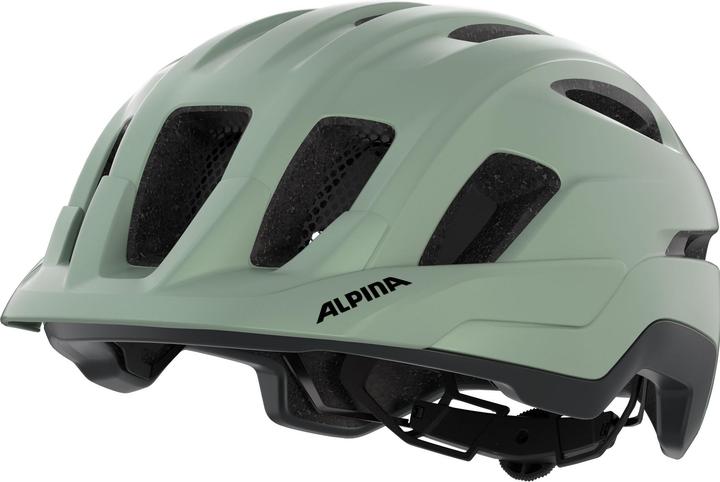 Image du produit ALPINA SPORTS Paranus Mips (59 - 61 cm)