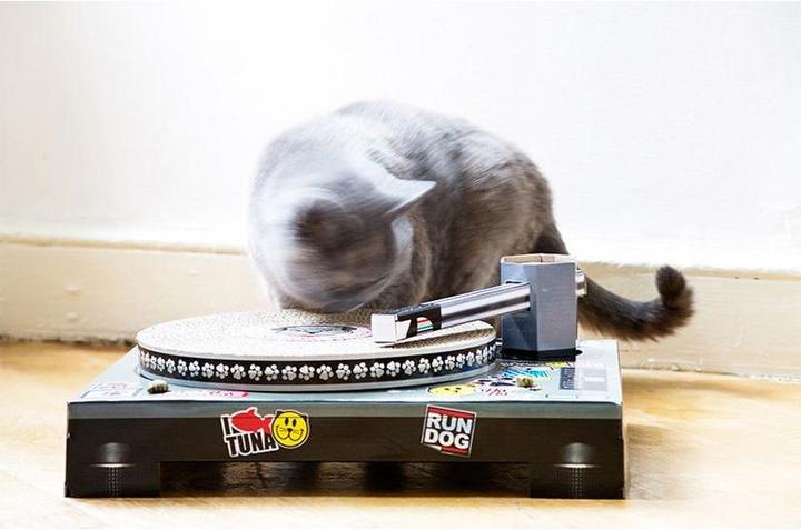 Actual product image Suck UK Cat Scratching Post Record Player (10 cm, Multi color)