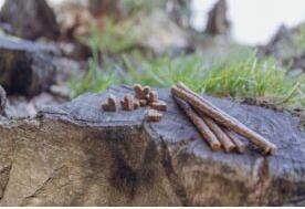 Immagine prodotto Trixie Cuori di insetti con vermi da pasto (1 pz., 80 g)