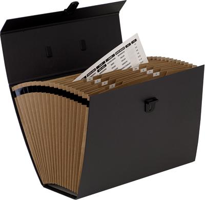 Actual product image Fellowes Hanfile Document Manager (A4, 1 x)