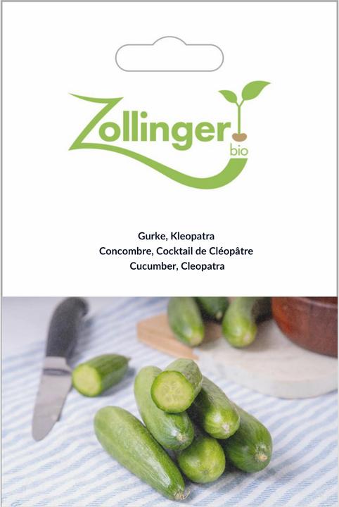 Image du produit Zollinger Bio Concombre, Cléopâtre (Graines de légumes)