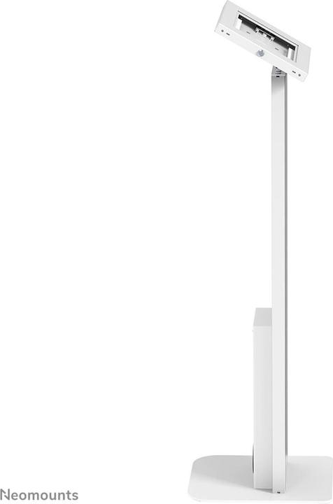 Actual product image Neomounts Floor stand