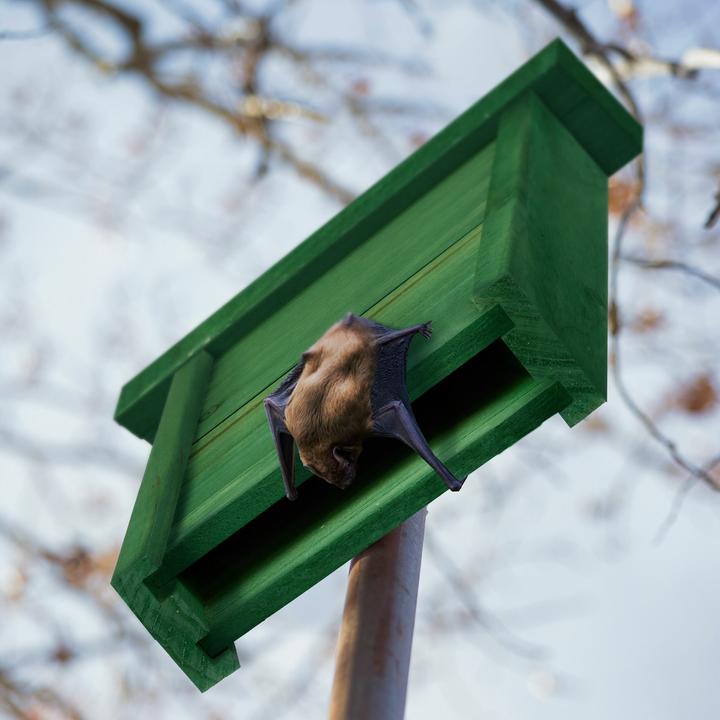 Produktbild Relaxdays Kerzendeko