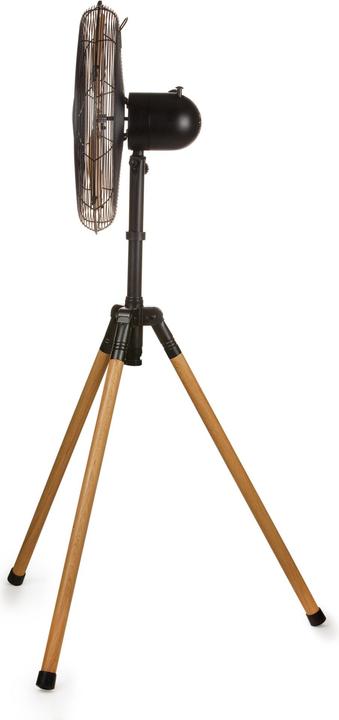 Actual product image Domo Fan