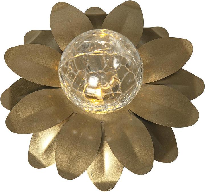 Image du produit Star Trading Solar Decoration Lilly (IP44)