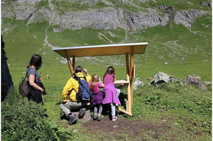 Produktbild Globi Luftseilbahn Engstligenalp