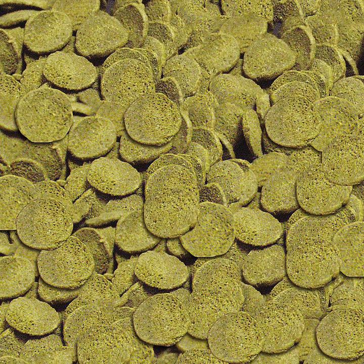 Produktbild Sera Wels-Chips 1l (Wels, 1000 ml)