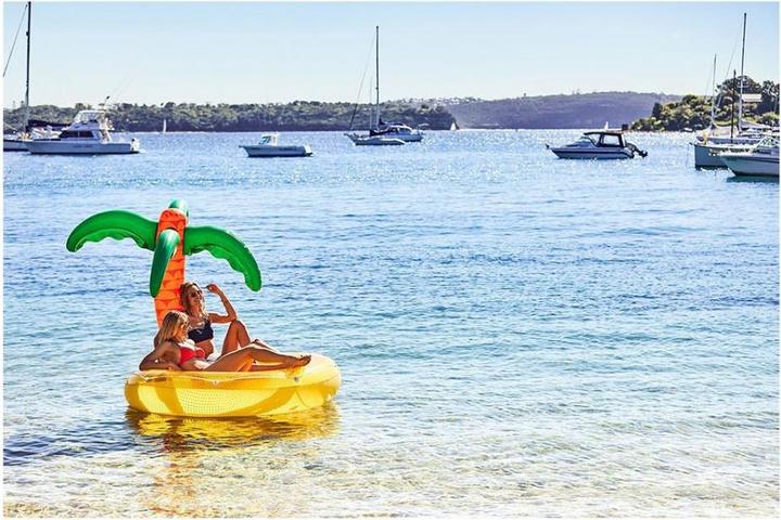 Image du produit TOP Île flottante tropicale