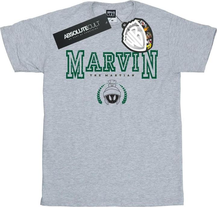 Actual product image Looney Tunes Womens/Ladies Marvin The Martian Cotton Boyfriend T-Shirt (XXL)
