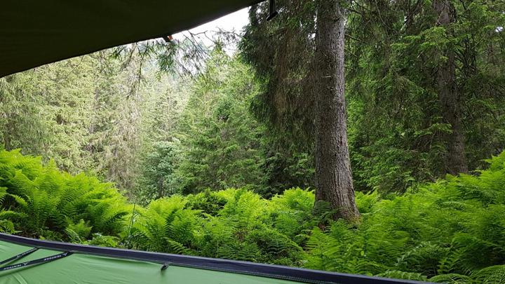 Produktbild Baumzelt Übernachtung (2 Personen)