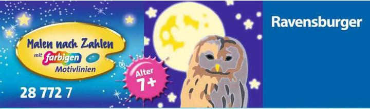 Produktbild Ravensburger Nachteule