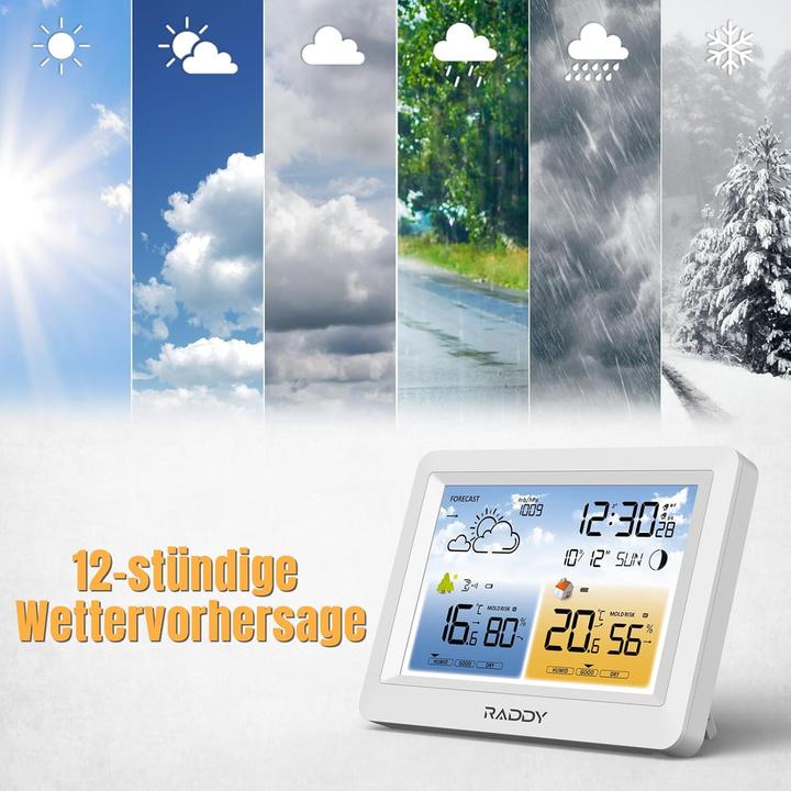 Image du produit Raddy Funk-Wetterstation WM6