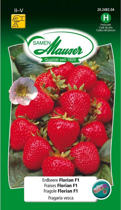 Actual product image Samen Mauser Seeds Strawberry Florian F1 (Vegetable seeds)