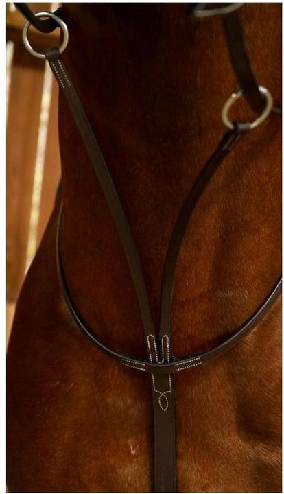 Produktbild Dy'on Gleitendes Ringmartingal Working Collection